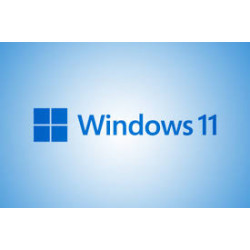 Windows 11