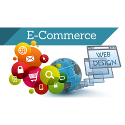 Website Monthly Management